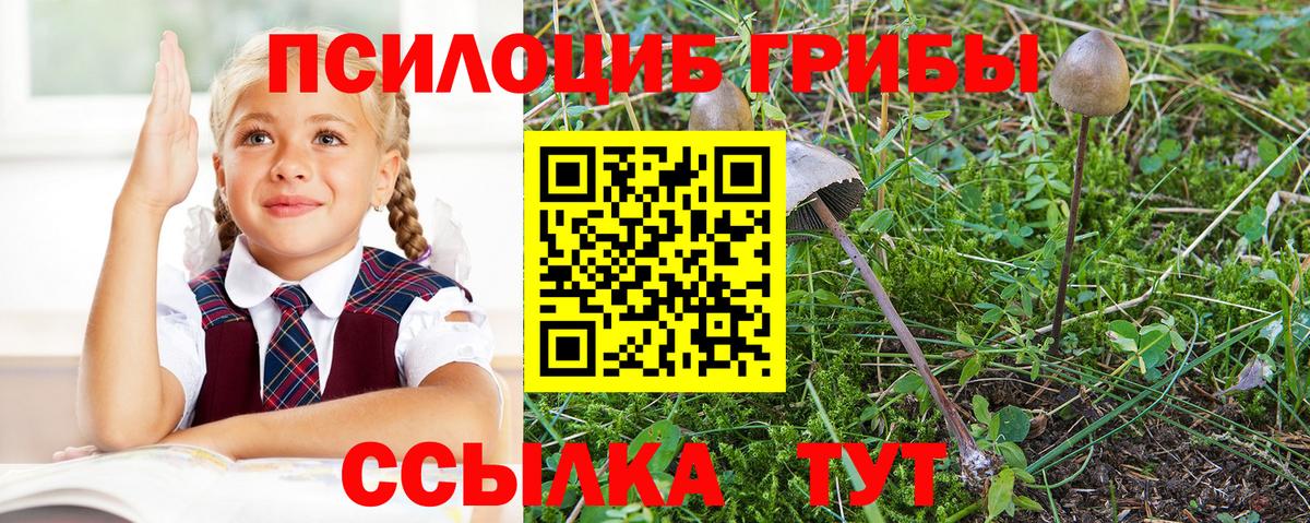 Галлюциногенные грибы GOLDEN TEACHER Улан-Удэ